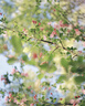 松下S9（18-40mm F4.5-6.3）套机（Panasonic） 全画幅微单 实时Lut 滤镜直出 连接app极速分享-橙 实拍图