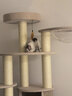 兽牌森林猫爬架大型猫树猫窝一体豪华剑麻猫架太空舱缅因大猫四季适用 森林【经典款】 实拍图