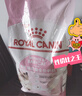 皇家幼猫猫粮 幼猫奶糕 K36 通用粮 4-12月 2KG 实拍图