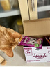 伟嘉主食猫罐头软包 猫主食餐包湿粮 进口成猫妙鲜包85g*12鸡肉味 实拍图