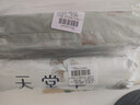 天堂伞 防紫外线晴雨伞三折 雨伞黑胶防晒太阳伞遮阳晴雨伞 鳄梨绿 实拍图