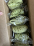 湾琴河 蔬菜竹升面600g 独立包装面条 蔬菜面杂粮面挂面龙须面 实拍图