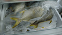 环球水产南海金鲳鱼700g/2条BAP认证深海鱼类海鲜家庭聚餐 实拍图