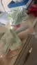 南极人内裤女士内裤纯棉10A抑菌加长裆中腰少女内裤女大码三角裤6条2XL 实拍图