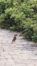 松下S5M2K+（50mm F1.8）白盒  双镜头套装 全画幅微单相机 约2420万有效像素 相位混合对焦 实拍图