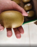 佳沛（zespri）新西兰  阳光金奇异果6粒装 单果约88-103g 猕猴桃水果礼盒 实拍图