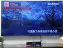 索爱（soaiy）电脑音响SH18蓝牙K歌音箱家用桌面低音炮双麦多媒体台式机笔记本USB迷你小钢炮情人节礼物双麦版黑 实拍图