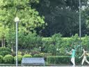 长黄瓜约600g 实拍图