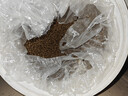 朗亲狗粮肉粒双拼拉布拉多边牧德牧成犬专用通用型狗干粮20kg 实拍图