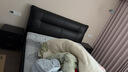 多米贝贝（Tomibaby）孕妇枕头护腰侧睡枕U型枕多功能托腹抱枕靠枕孕妇睡枕孕妇礼物 实拍图