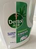 滴露（Dettol）衣物除菌液松木3L 内衣袜子衣物长效杀菌除螨 衣服消毒液儿童可用 实拍图