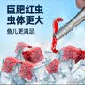 疯狂水草六角恐龙饲料冰冻红虫鱼食蝾螈娃娃鱼饲料开口专用精品红线虫鱼粮 精品大红虫 100g 3板 【鲜肥高蛋白】 【冰鲜直发】送化冰盒+镊子 实拍图
