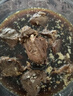 鲜京采 原切牛腱子 4斤 不含腱子芯  炖煮健身 京东自有品牌【真原切】 实拍图