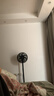 美的（Midea）【超级单品】七叶轻音立式电风扇家用柔风落地扇台式桌面小型风扇大风量节能摇头宿舍电扇 SAF30AB 实拍图