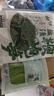 鲜窝窝 贡菜300g 火锅食材新鲜苔干苔菜响菜凉拌菜 免泡发干货 实拍图