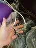 泛达 泛达六类网线cat6类纯无氧铜商用工程级箱装千兆非屏蔽双绞线0.57mm规格 散线10米白色-低烟无卤(需要多少拍多少) 实拍图