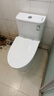 九牧（JOMOO）11173-2-1/31KD-3大力神家用马桶虹吸抗菌节水洁具305坑距 实拍图