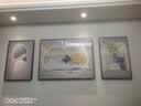 诗六艺家饰客厅装饰画北欧现代简约沙发背景墙挂画三联画大气轻奢壁画晶瓷画 吉祥如意（铝合金外框） 镶钻画左右40*60+中间80*60亮面 实拍图