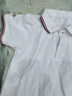罗蒙男童短袖polo衫校园服饰春夏T恤女童班服 条纹白色短袖POLO衫130 实拍图