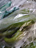 有机汇有机尖椒 微辣长辣椒 有机蔬菜无农残 基地自种 当天新鲜采摘 500g 实拍图