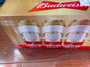 百威（Budweiser）经典纯生淡色拉格啤酒 500ml*18听整箱装 踏春送礼 实拍图