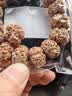 山中玉金刚菩提手串尼泊尔菩提子原籽龙鳞纹盘文玩大五瓣精品新年礼物 [收藏]五瓣蜂窝金刚菩提21-22mm 实拍图