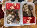 大紅門气调酱鸭（200g含料汁）*2酱卤熟食新鲜下酒菜即食食材源头直发 实拍图
