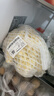 松花菜约500g 实拍图