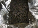 天之红红茶 祁门红茶叶新茶正宗蜜香祁红香螺250g 自己喝口粮茶 实拍图