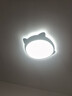 雷士（NVC）LED照明吸顶灯儿童氛围卧室灯健康护眼创意可爱童趣卡通龙猫蓝色 实拍图