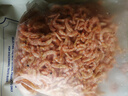 春江月南极磷虾仁深海鳞虾干肉干货新鲜小虾米虾皮特产磷虾干官方旗舰店 深海南极磷虾仁【250g*1袋】可炒菜煲汤 实拍图