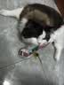 HELLOJOY猫咪不倒翁玩具羽毛逗猫棒球猫消耗体力自嗨解闷神器猫咪用品 实拍图
