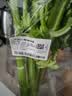 大芹菜约400g 实拍图