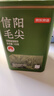 京东京造鲜来多26新茶信阳毛尖绿茶250g明前茶叶栗香嫩芽送礼盒自己喝自营 实拍图