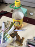 广氏菠萝啤饮料整箱装 1.25Lx12瓶 实拍图