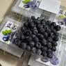 正秘书云南蓝莓 新鲜蓝莓应季时令水果整箱 3斤装单果12-15mm 净重100-125g*12盒 晒单实拍图