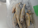 三都港 冷冻三去黄花鱼500g/3条装 小黄鱼 深海鱼 生鲜 鱼类 烧烤食材 实拍图