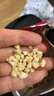展艺花生碎200g熟炒花生冰粉凉粉牛轧糖干碟烤肉白凉粉冰粉粉烘焙 实拍图