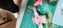 猫太子握笔器小学生防勾腕矫正器握笔神器姿势纠正器幼儿园铅笔初学者书写写字控笔练字矫正器 实拍图