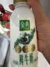 伊利金典 原生全脂鲜牛奶235ml/瓶悦享装鲜活营养巴氏杀菌低温牛乳 金典鲜牛奶235ml*8瓶 实拍图
