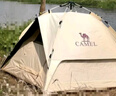 骆驼（CAMEL）户外黑胶帐篷便携式折叠全自动加厚野营双人防晒防雨A111-3流沙金 实拍图