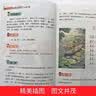 小学生必背古诗词75+80首 彩色注音全新正版 诗词原文疑难注释 诗词译文诗词赏析 内容丰富插图精美 覆盖小学全部必备诗词内容  实拍图