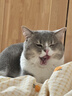 麦富迪猫粮 barf霸弗天然猫粮冻干生骨肉高蛋白成猫粮养胃增肌牛肉5.4kg 实拍图