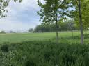 飞科博锐电吹风机吹头发家用大功率不伤发便携护发吹风筒女士宿舍用 价保618 翡翠绿PH1628 实拍图