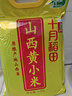 十月稻田 山西黄小米5斤 25年新米 小米黄小米 小米杂粮 早餐 粥 节日送礼 实拍图