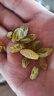 百草味新疆即食蜜饯果干 办公室休闲零食小吃 MJ 【量贩分享装】500g（100g*5包） 实拍图
