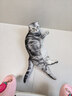 阿柴与猫封闭式猫窝大房子小型犬狗窝睡觉猫狗屋可拆洗四季通用宠物窝 实拍图