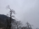 沐唯（muvi）燃气管天然气专用304不锈钢防爆波纹软管输送连接0.5米TT 实拍图