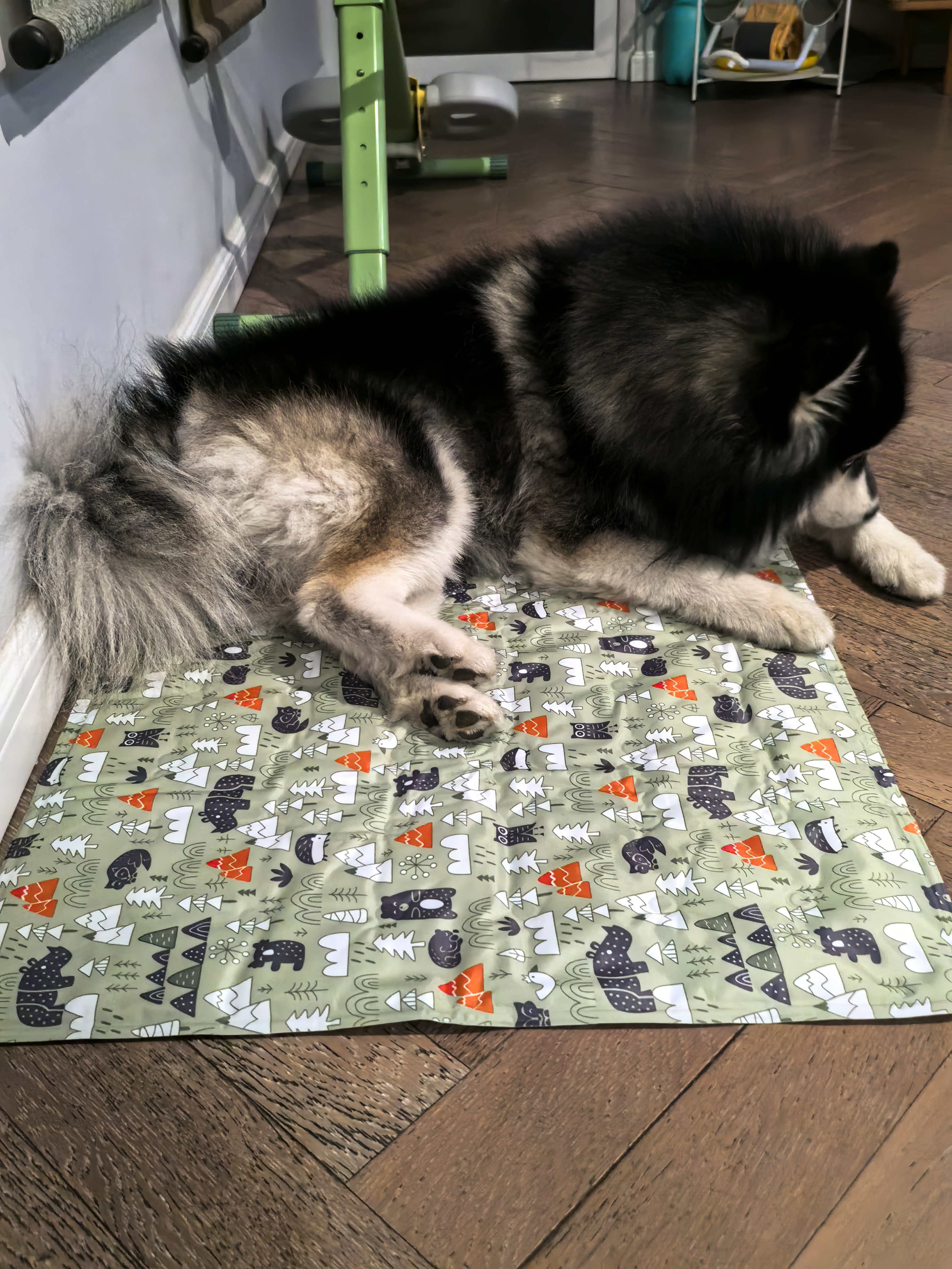 憨憨宠宠物冰垫防水狗垫子夏季降温猫咪凉垫凉席泰迪金毛中小型犬宠物垫 动物园款 XL号 60*90cm 实拍图
