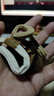 【一周不重样】时尚可爱美拉德头绳小熊高马尾弹力丸子头发圈 小熊发圈混色-5根装特惠 1件套 实拍图
